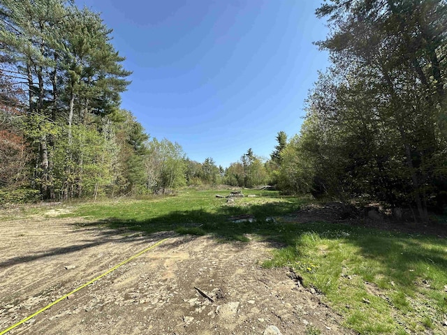 view of yard featuring a forest view