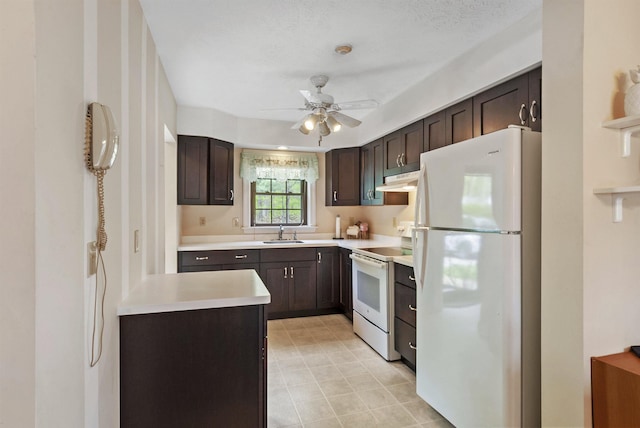 kitchen with white appliances, a sink, dark brown cabinetry, and light countertops