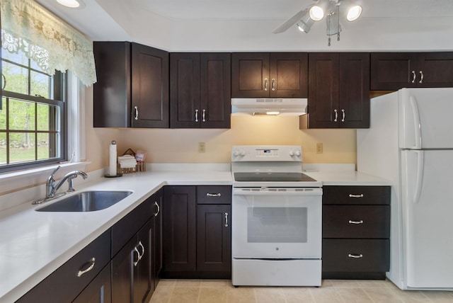 kitchen with white appliances, under cabinet range hood, a sink, and light countertops