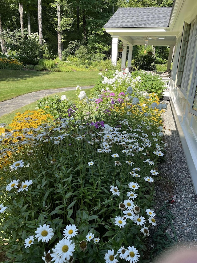 5893 Stage Rd, Barnard, VT 05031 - view of green lawn
