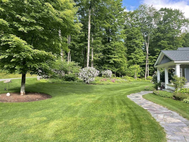 5893 Stage Rd, Barnard, VT 05031 - view of grassy yard