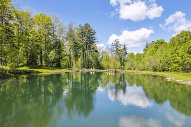 5893 Stage Rd, Barnard, VT 05031 - water view featuring a forest