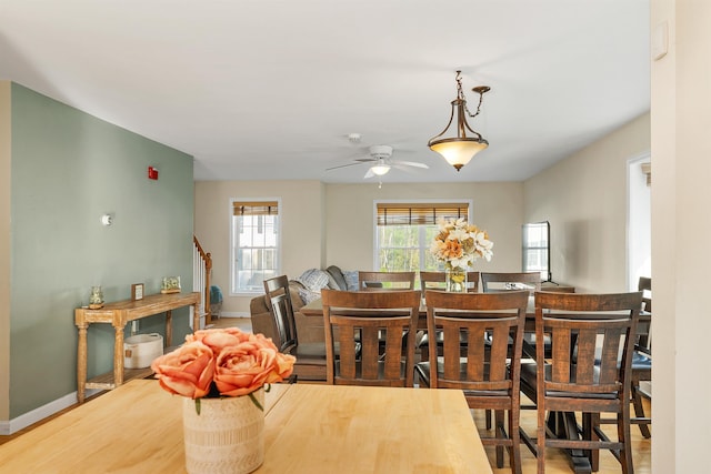 dining room with baseboards, a ceiling fan, and wood finished floors