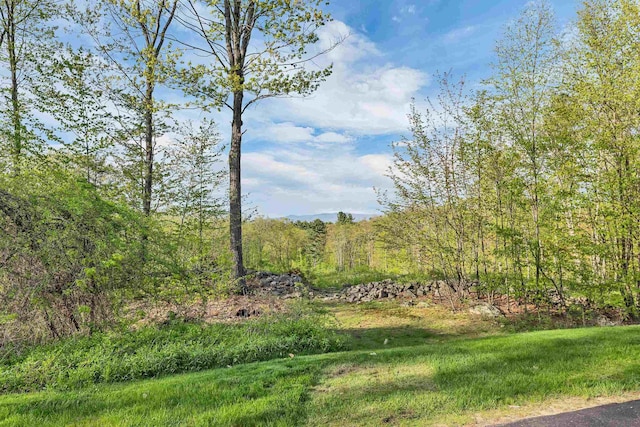 view of yard featuring a wooded view