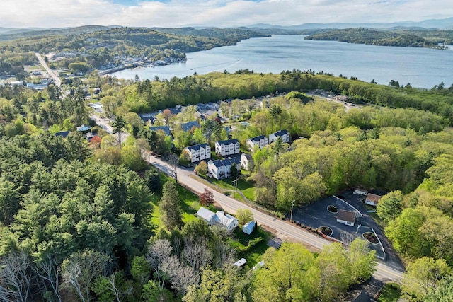 aerial overview of property's location with a water and mountain view and a heavily wooded area