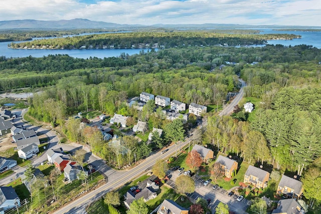 view of property location with a forest, a large body of water, and nearby suburban area