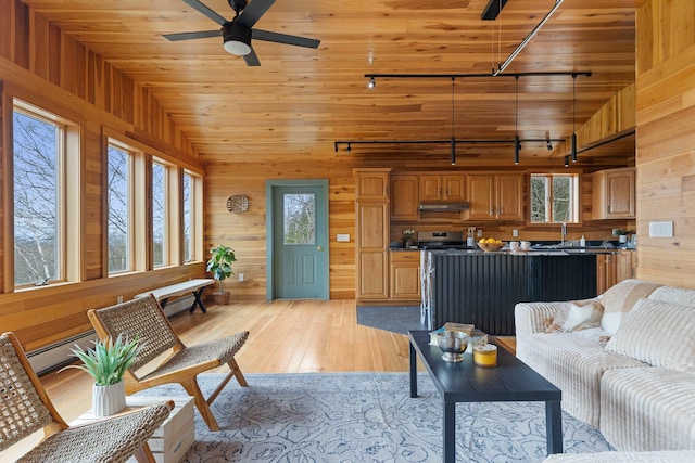 121 Ridge Ln, Westmore, VT 05860 - living area with wood walls, lofted ceiling, rail lighting, ceiling fan, and light wood finished floors