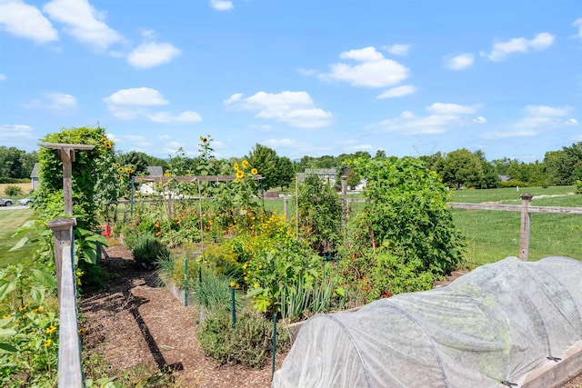 view of yard with a garden