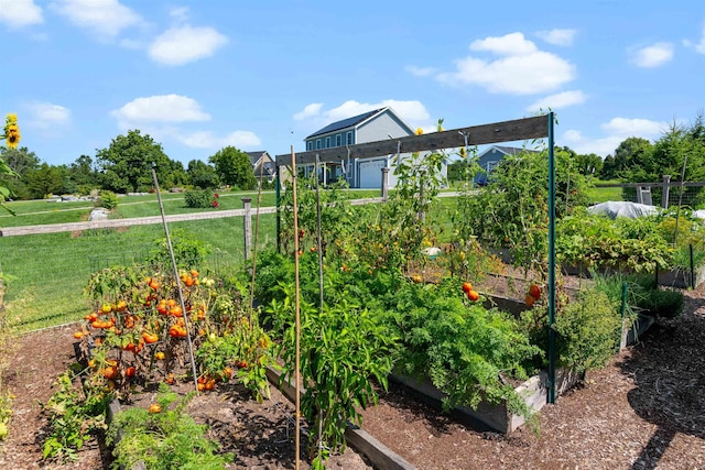 view of yard with a vegetable garden and a garage