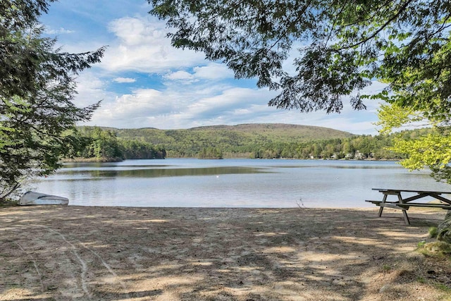 water view featuring a forest