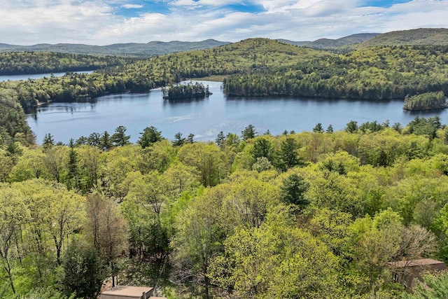water view with a heavily wooded area and mountains