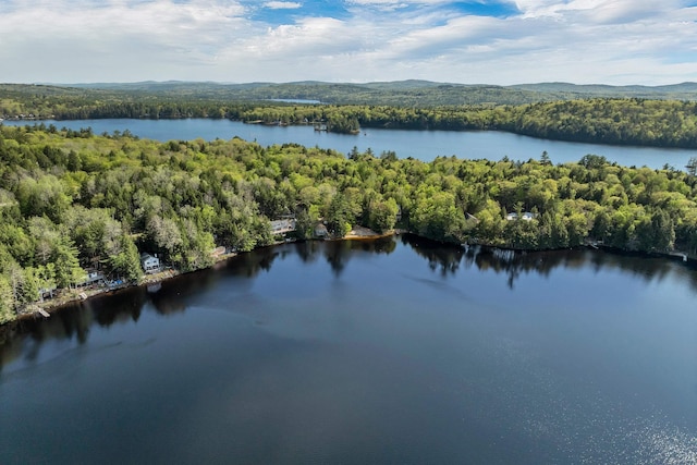bird's eye view of a forest and a nearby body of water