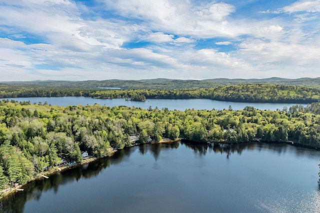water view with a heavily wooded area and a mountain backdrop
