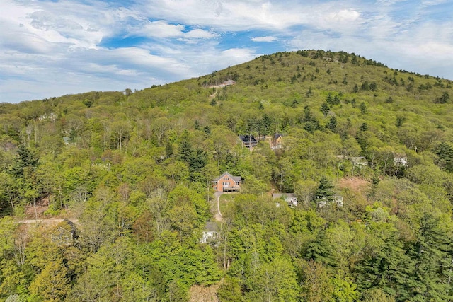 mountain view featuring a forest