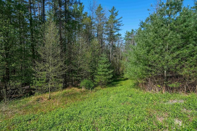 0 Cedar Dr, Ludlow, VT 05149