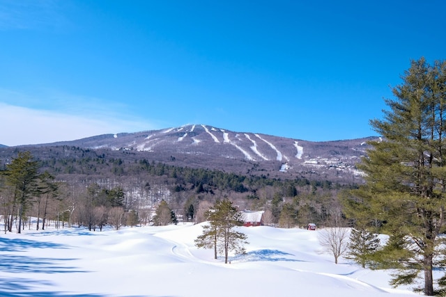 0 Cedar Dr, Ludlow, VT 05149
