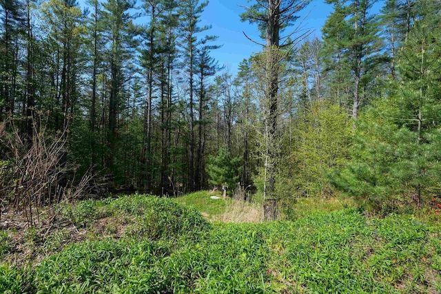0 Cedar Dr, Ludlow, VT 05149