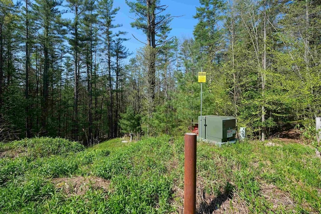 0 Cedar Dr, Ludlow, VT 05149