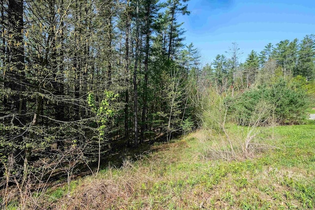 0 Cedar Dr, Ludlow, VT 05149