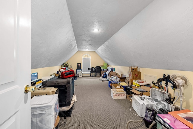 bonus room with vaulted ceiling, carpet, and a textured ceiling