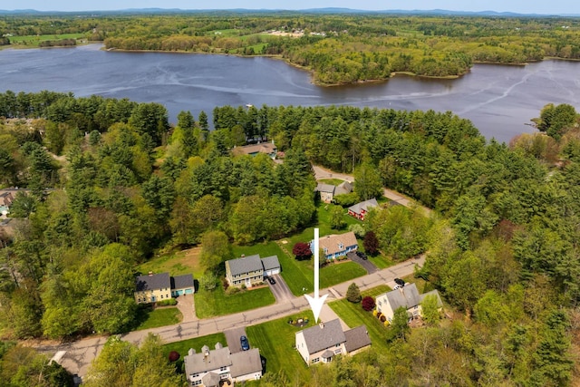 aerial overview of property's location featuring a nearby body of water and a forest