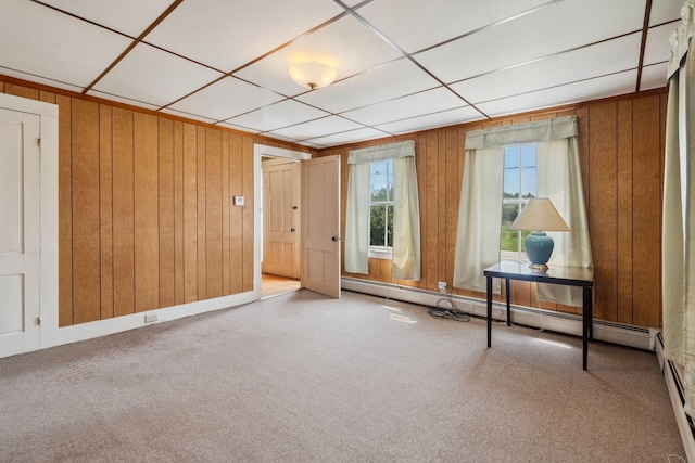 491 Brook Rd, Goshen, NH 03752 - spare room featuring baseboard heating, wooden walls, and carpet flooring