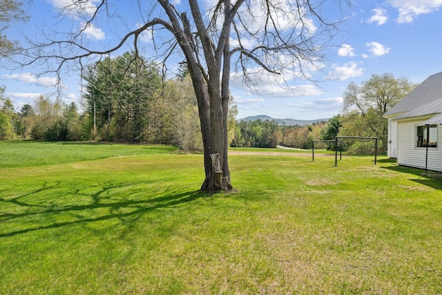 491 Brook Rd, Goshen, NH 03752 - view of grassy yard