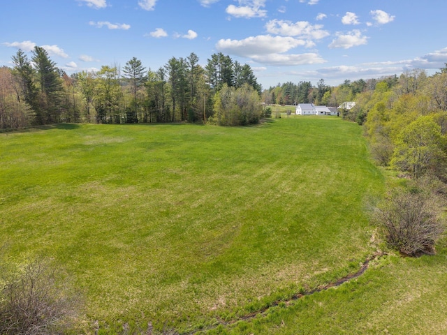 491 Brook Rd, Goshen, NH 03752 - view of green lawn with a view of rural / pastoral area and a wooded view
