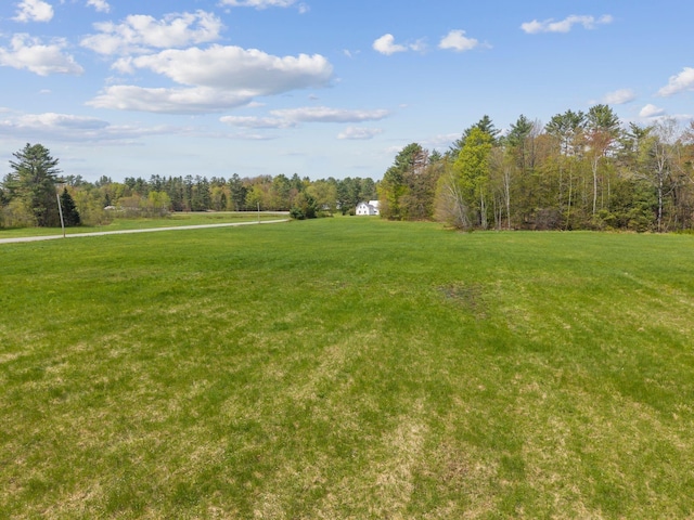 491 Brook Rd, Goshen, NH 03752 - view of green lawn featuring a forest view