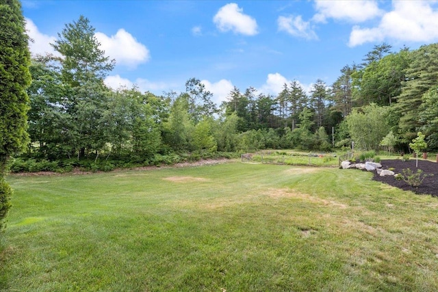 34 Coles Pond Rd, Somersworth, NH 03878 - view of grassy yard