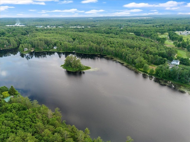 34 Coles Pond Rd, Somersworth, NH 03878 - aerial view of a heavily wooded area and a large body of water