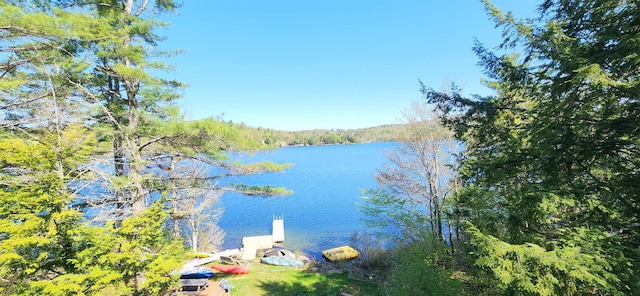 573 Granite Lake Rd, Nelson, NH 03457 - water view with a forest