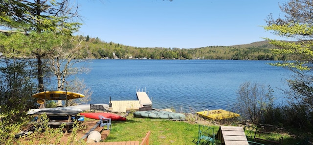 573 Granite Lake Rd, Nelson, NH 03457 - dock area with a water view and a view of trees