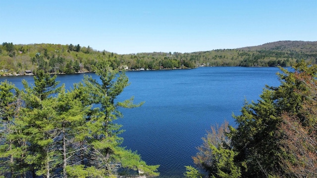 573 Granite Lake Rd, Nelson, NH 03457 - water view with a heavily wooded area