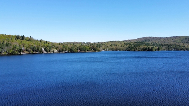 573 Granite Lake Rd, Nelson, NH 03457 - water view with a heavily wooded area