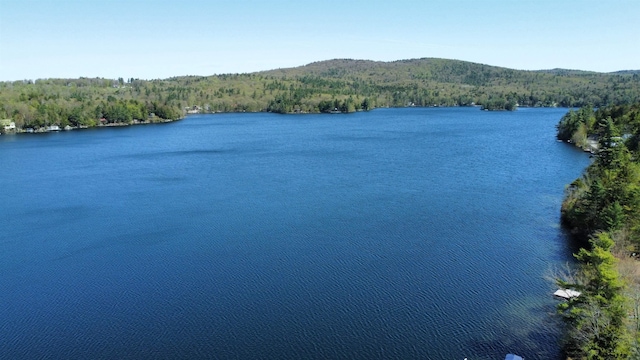 573 Granite Lake Rd, Nelson, NH 03457 - water view with a heavily wooded area