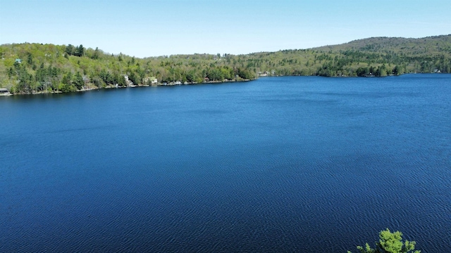 573 Granite Lake Rd, Nelson, NH 03457 - water view with a forest