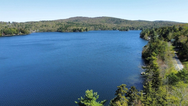 573 Granite Lake Rd, Nelson, NH 03457 - water view featuring a heavily wooded area