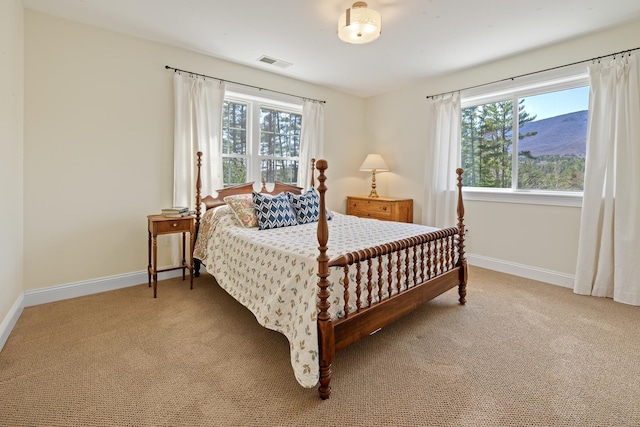 7 Timberbrook N, Dorset, VT 05251 - bedroom featuring light colored carpet, multiple windows, and baseboards