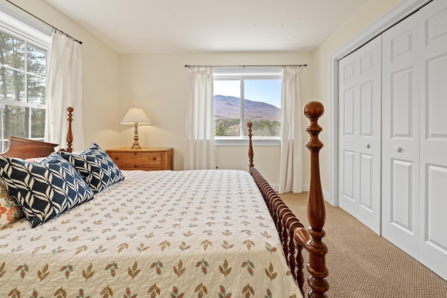7 Timberbrook N, Dorset, VT 05251 - bedroom with carpet, a closet, and a mountain view