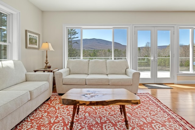 7 Timberbrook N, Dorset, VT 05251 - living area featuring wood finished floors and a mountain view