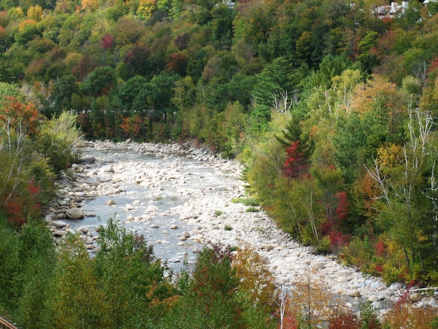 water view featuring a heavily wooded area