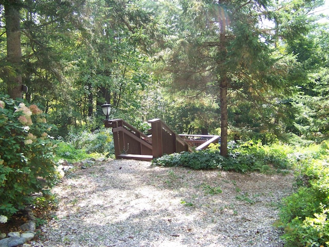 111 Forest Ln, Rochester, VT 05767 - view of yard with a forest view and a deck
