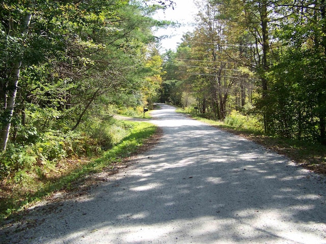 111 Forest Ln, Rochester, VT 05767 - view of road featuring a view of trees