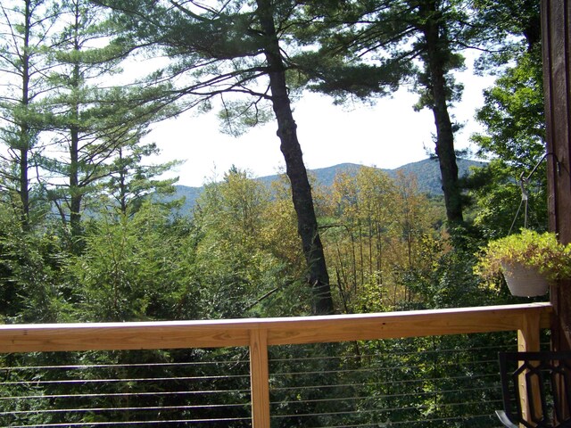 111 Forest Ln, Rochester, VT 05767 - view of mountain background with a forest
