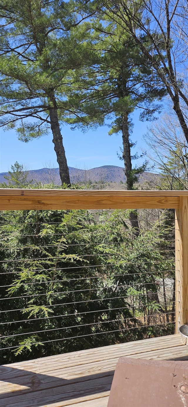 111 Forest Ln, Rochester, VT 05767 - detailed view