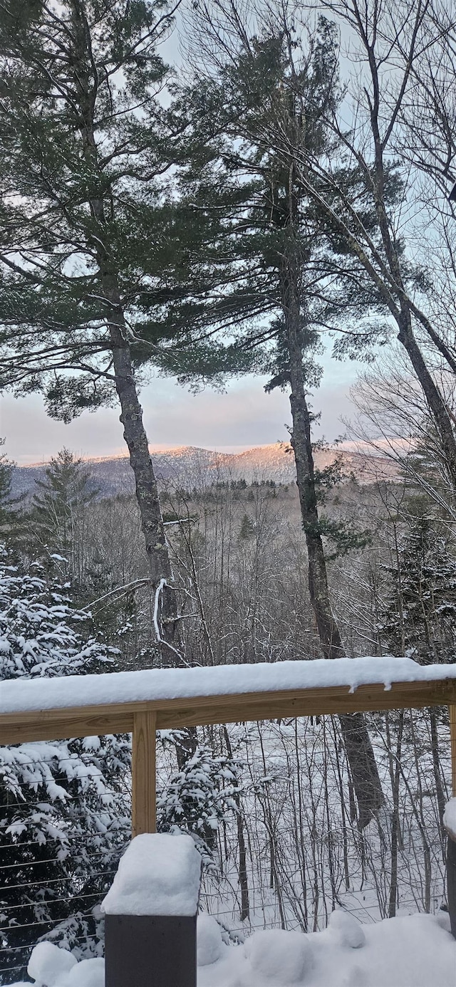 111 Forest Ln, Rochester, VT 05767 - water view
