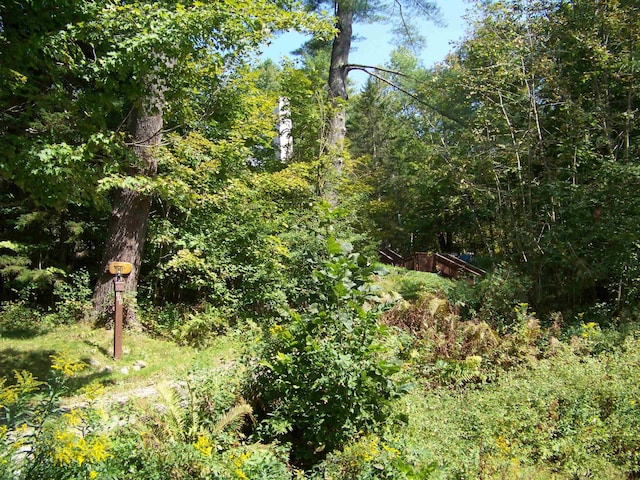 111 Forest Ln, Rochester, VT 05767 - view of tree filled area