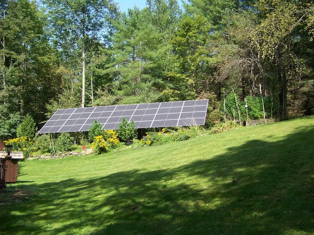 111 Forest Ln, Rochester, VT 05767 - view of green lawn