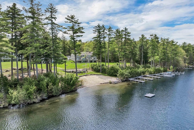 40-21 Harbor Way Unit 21, Wolfeboro, NH 03894 - water view featuring a dock